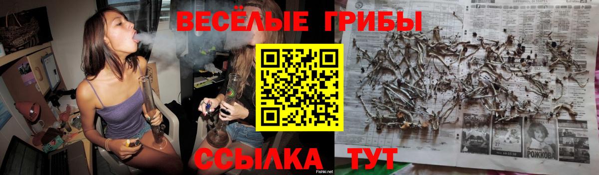 Псилоцибиновые грибы прущие грибы  Вход с VPN  Комсомольск-на-Амуре 